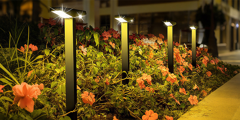 savinglights blog3.jpg